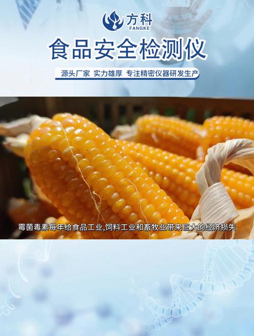 食品安全检测仪产品详细介绍 守护舌尖安全的科技利器